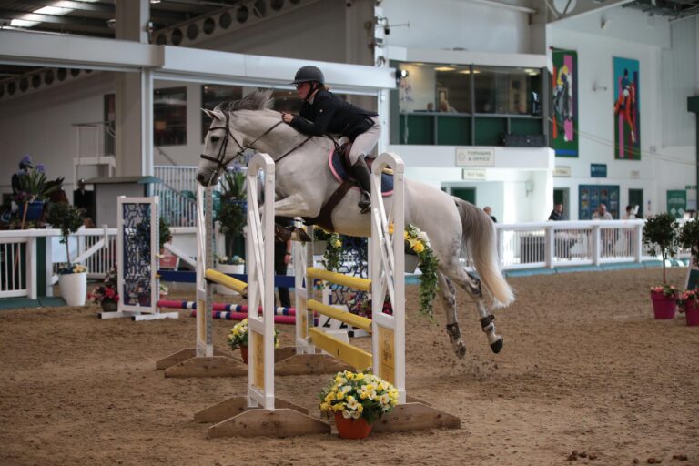 Blog - High Legh Riding Centre