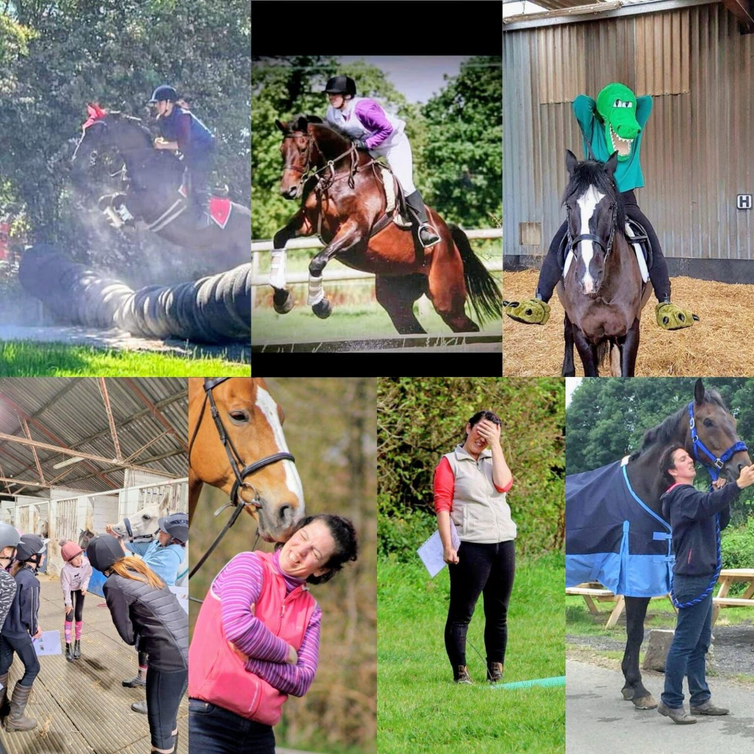 Highfeilds Riding School High Legh Riding Centre